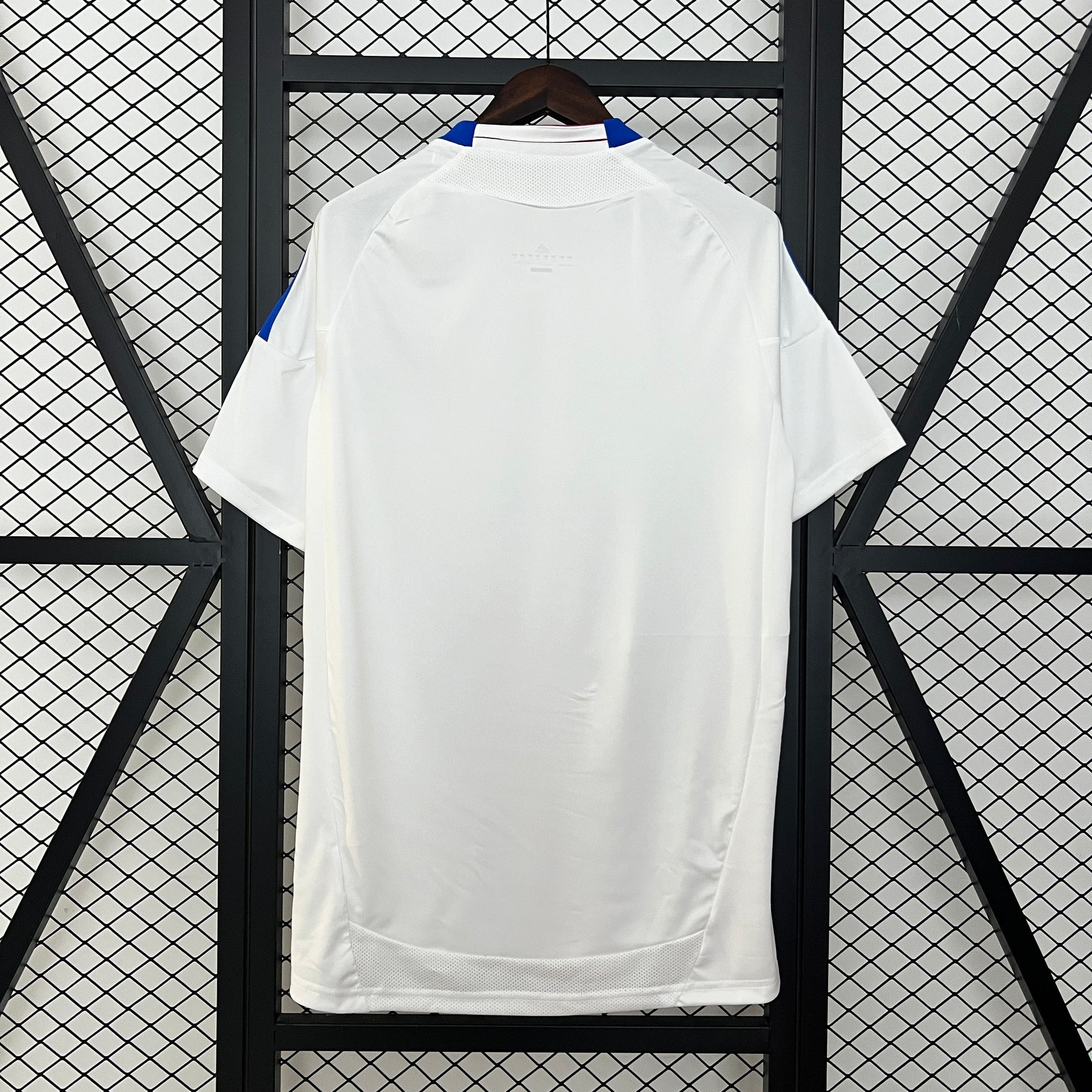 Olympique Lyonnais Retrô Home 2010/11