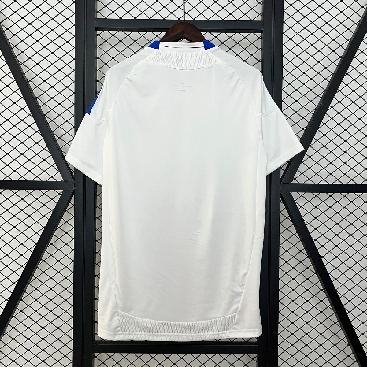 Olympique Lyonnais Retrô Home 2010/11